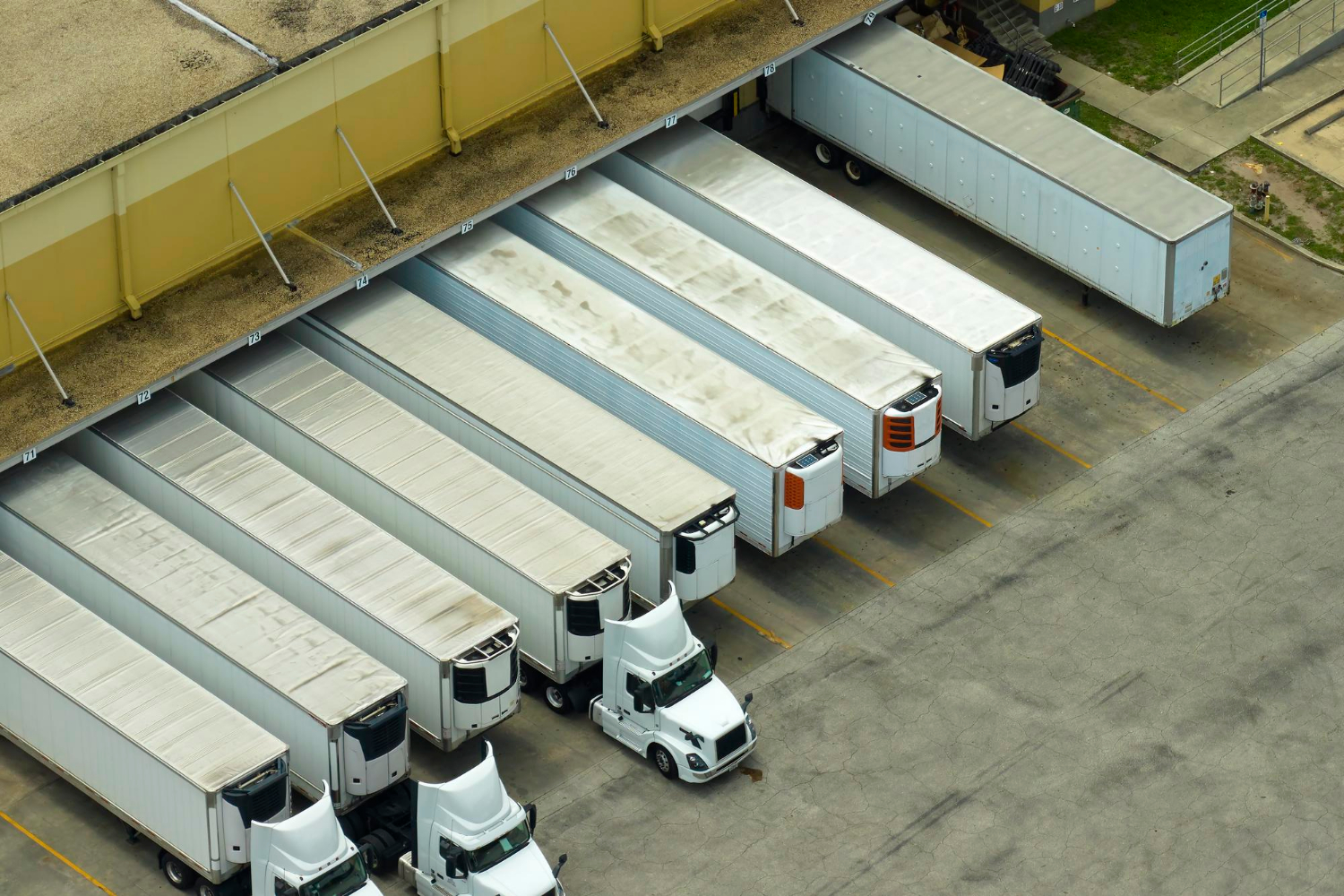 reefer container fleet